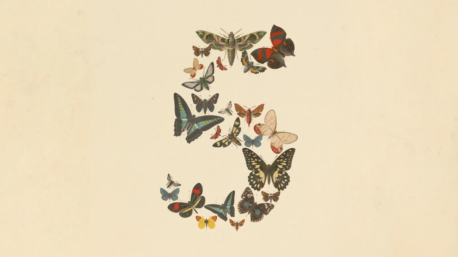 Anthropic's Claude Fable 5 brand artwork: the numeral 5 formed from an arrangement of butterflies and moths on a cream background