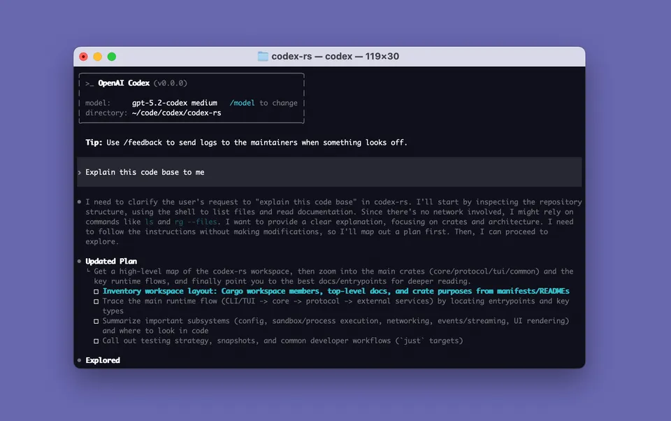 Codex CLI running in a terminal window, showing an interactive coding session