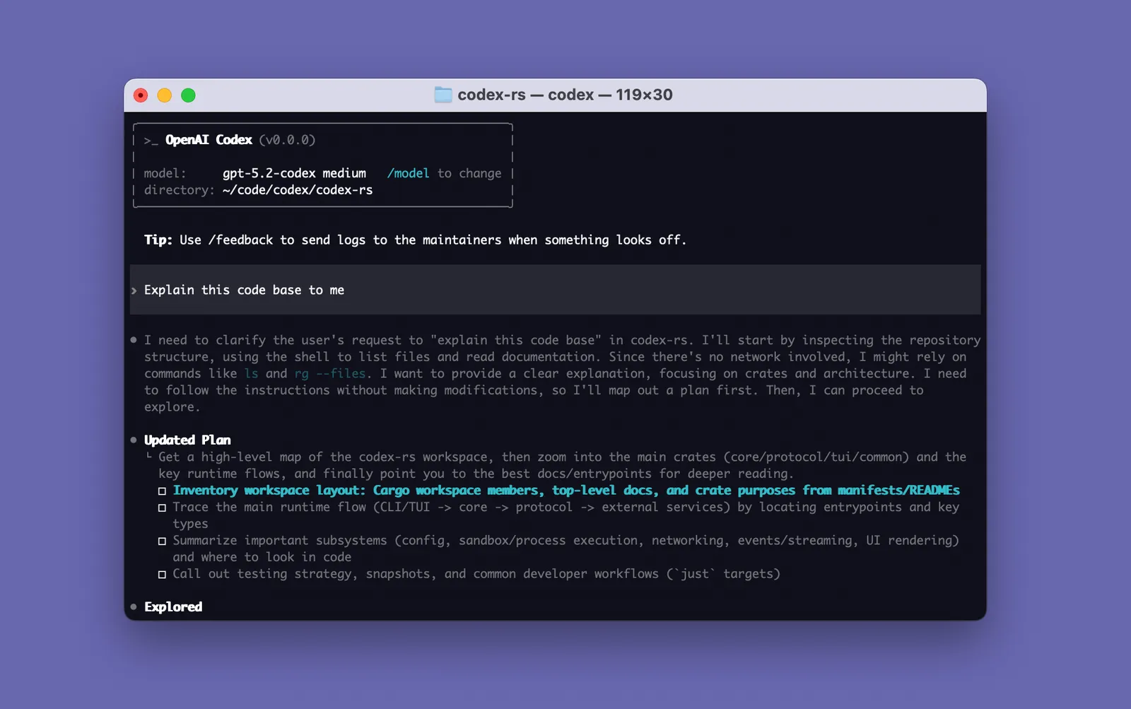 Codex CLI running in a terminal window, showing an interactive coding session